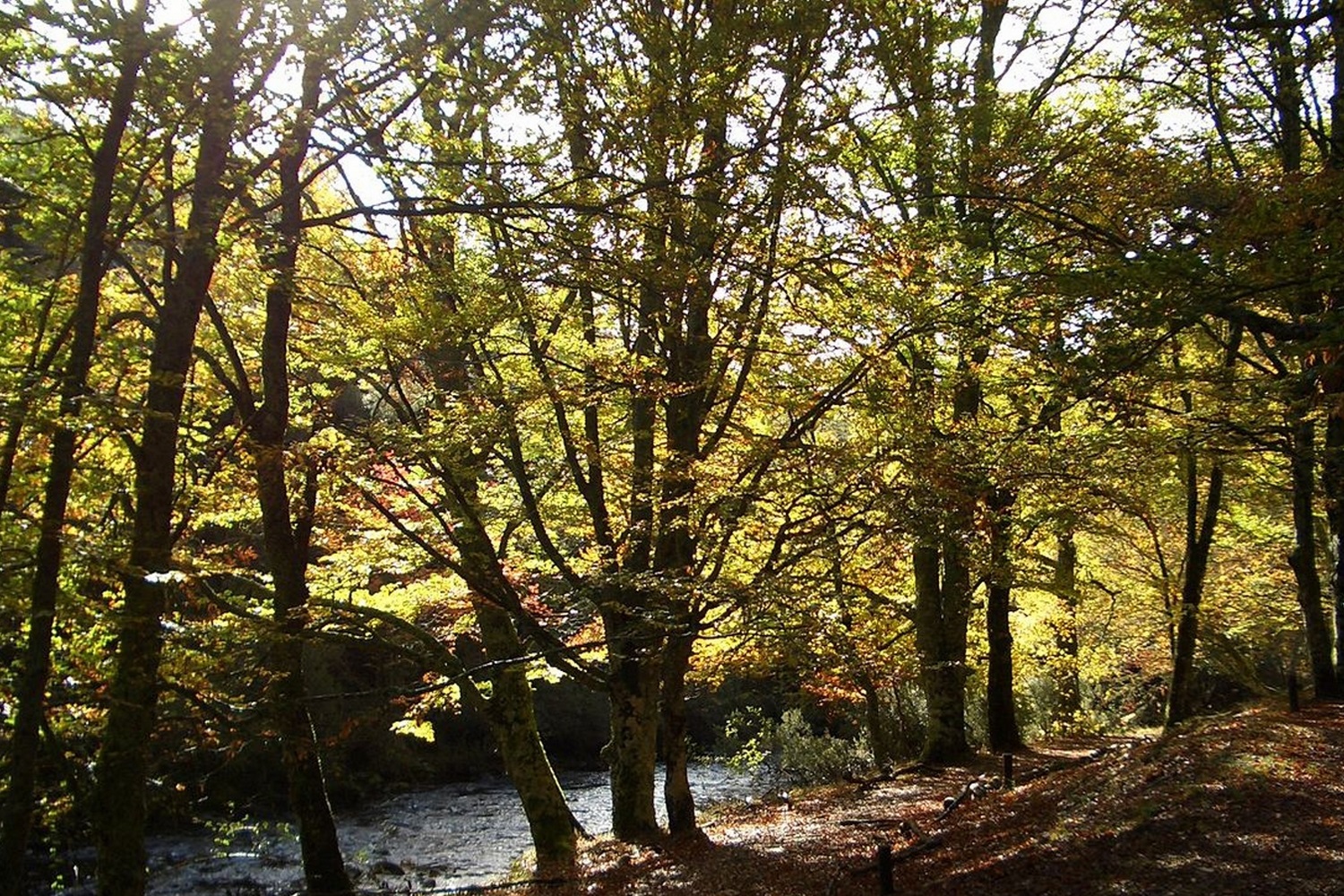 descubrerinconhayedo